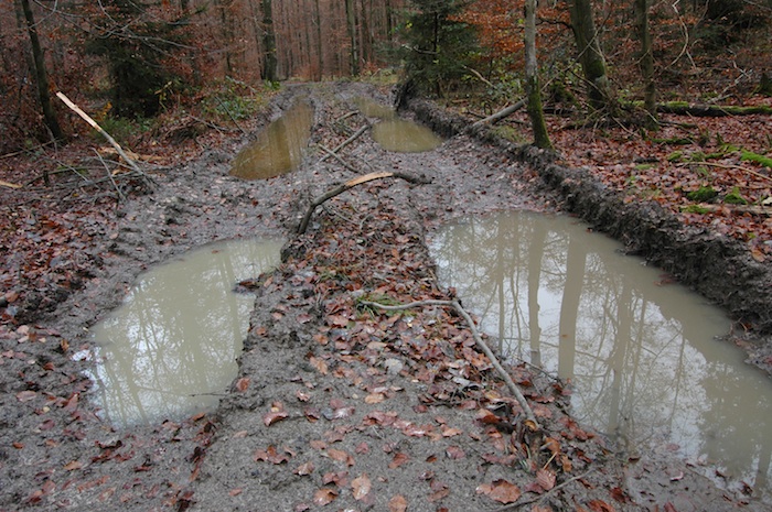 Bodenschäden Forstbetrieb Ebrach. Foto: Verein Nationalpark Nordsteigerwald